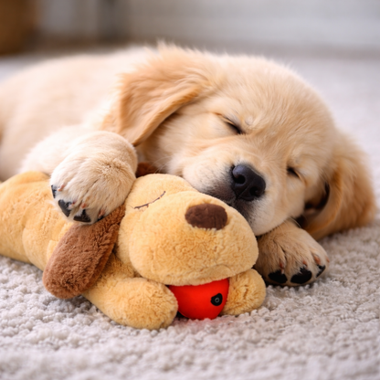 PawPulse Comfort Plush