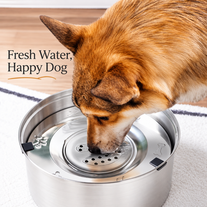 FloatSip Pet Water Bowl