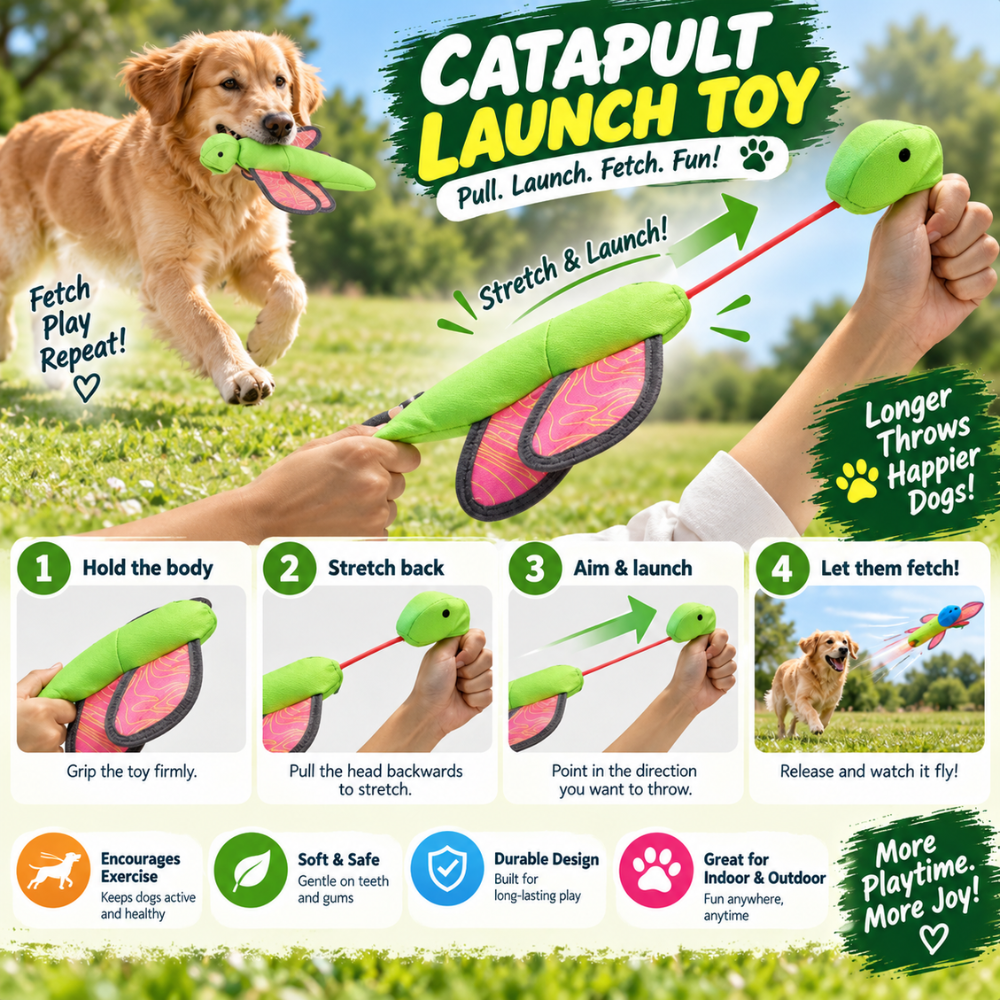 LaunchFetch Catapult Dog Toy