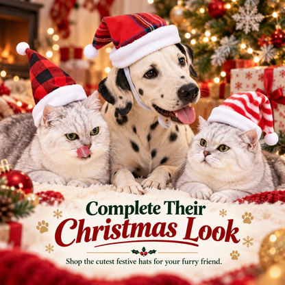 JollyPaws Christmas Santa Hats