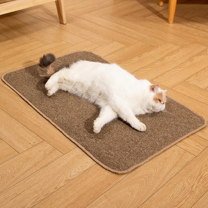 PurrGuard Scratch Mat