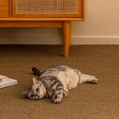 PurrGuard Scratch Mat