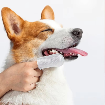 FreshPaw Finger Wipes (50pc)