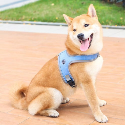 PawFit No-Pull Harness