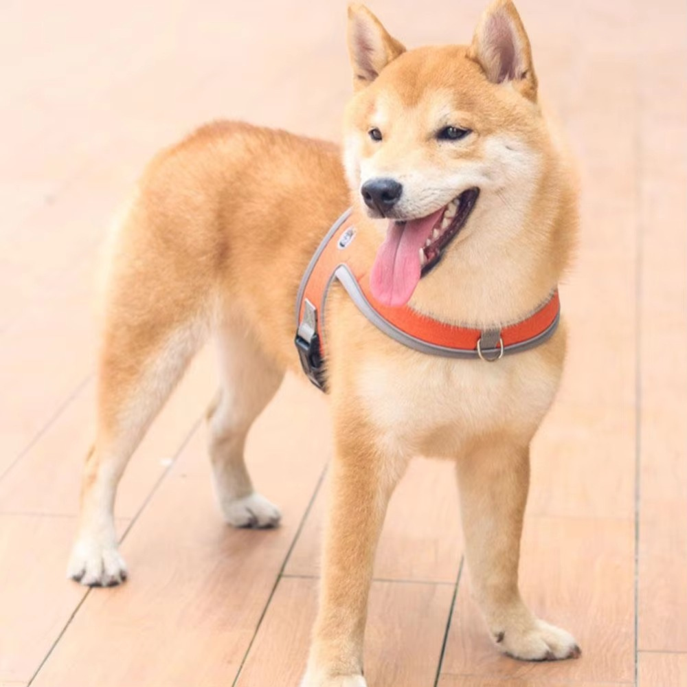 PawFit No-Pull Harness
