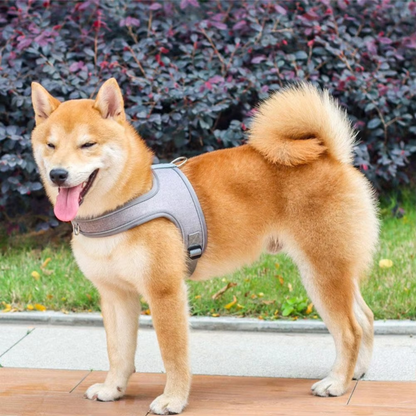 PawFit No-Pull Harness