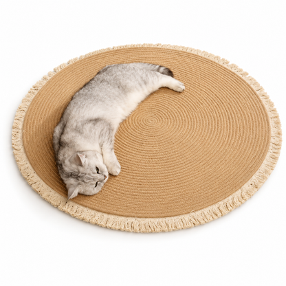 Scratch & Snooze