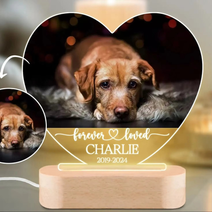 ForeverPaws Night Light