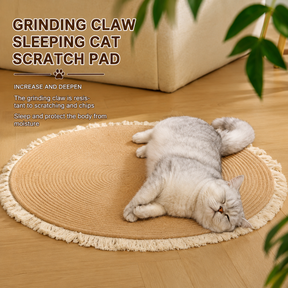 Scratch & Snooze