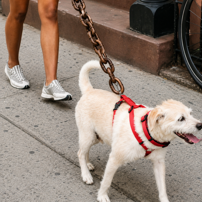 IronPaw Leash