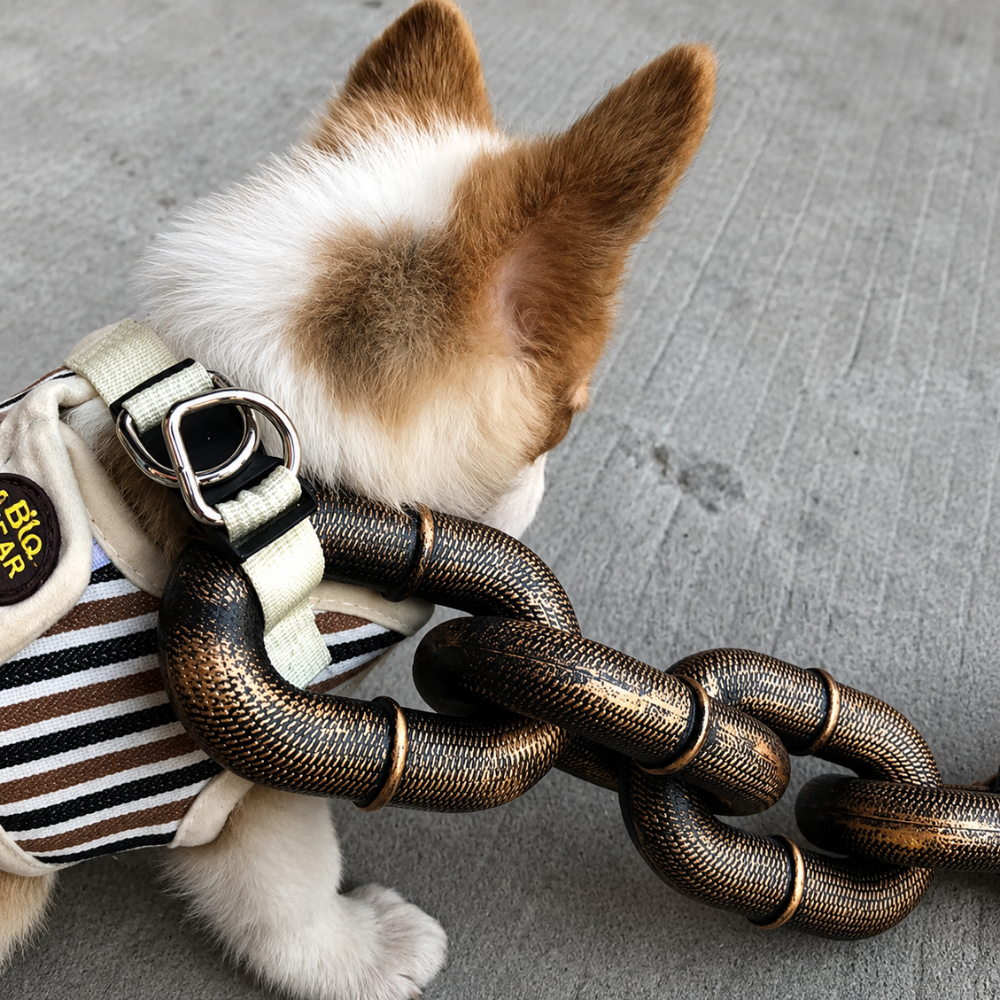 IronPaw Leash