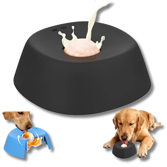 BrothBuddy Slow Lick Bowl