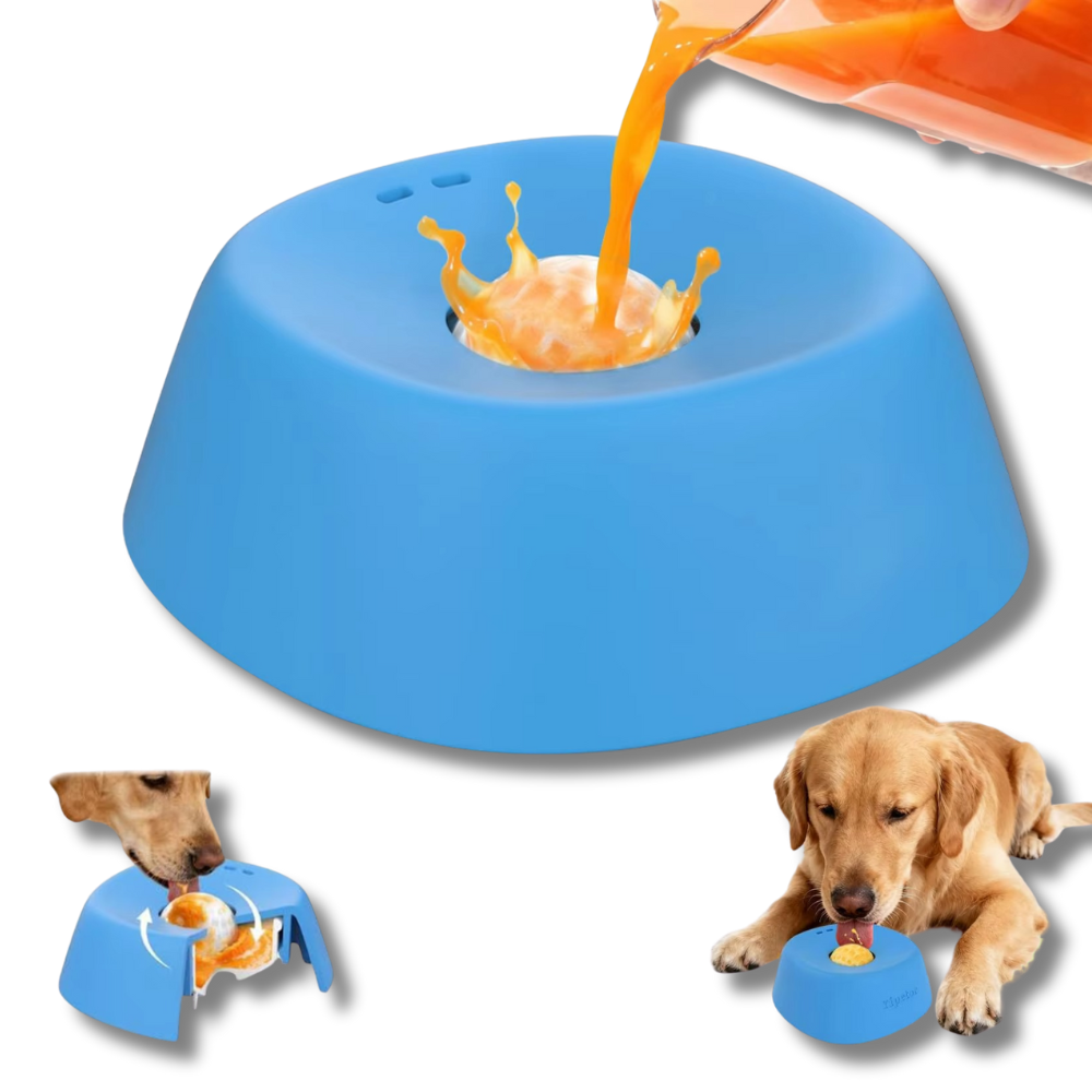 BrothBuddy Slow Lick Bowl