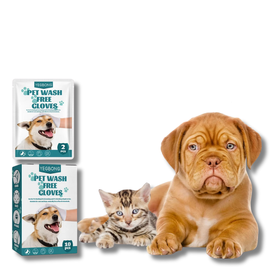 PawPure Clean Gloves