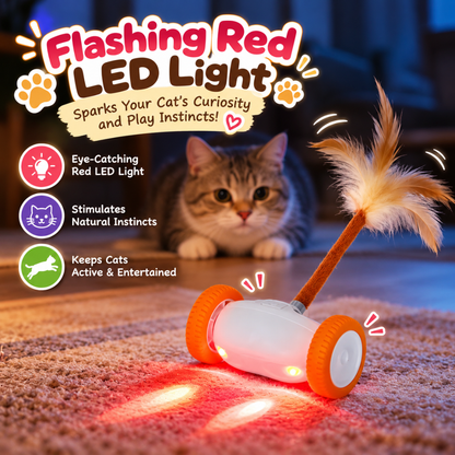 PurrChase Automatic Rolling Cat Toy