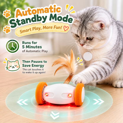 PurrChase Automatic Rolling Cat Toy