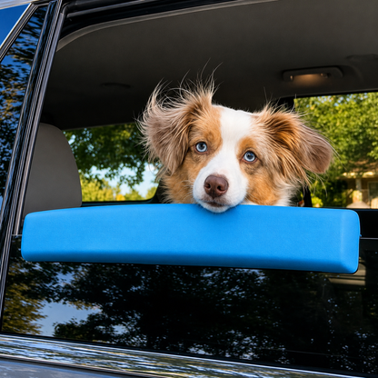 PawPillow Ride