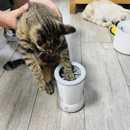 PawClean Pro Cup