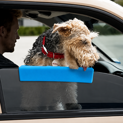 PawPillow Ride