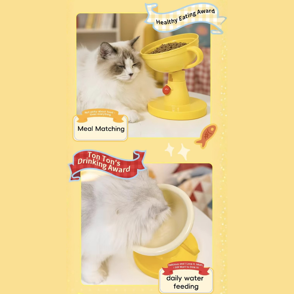 PawChamp Trophy Bowl