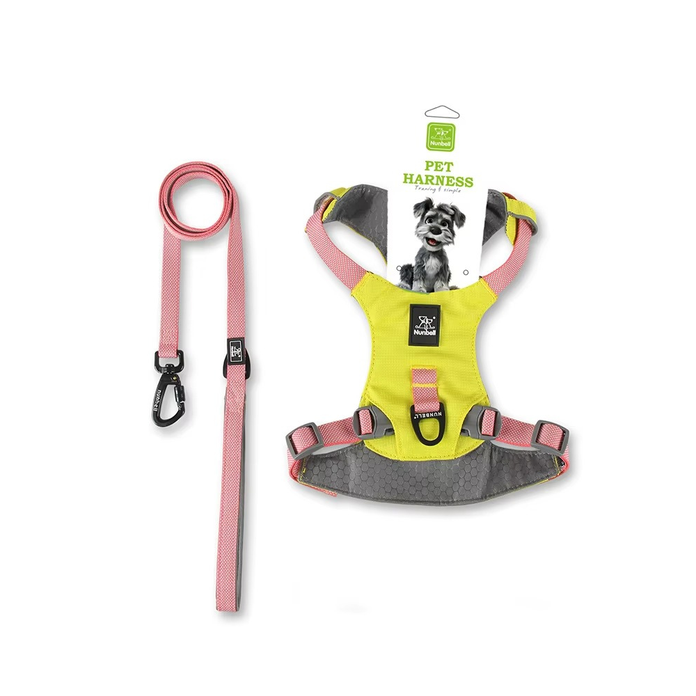EasyWalk Paw Harness