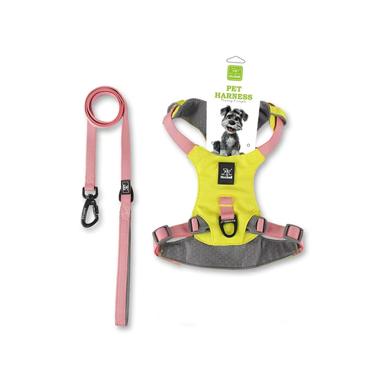 EasyWalk Paw Harness