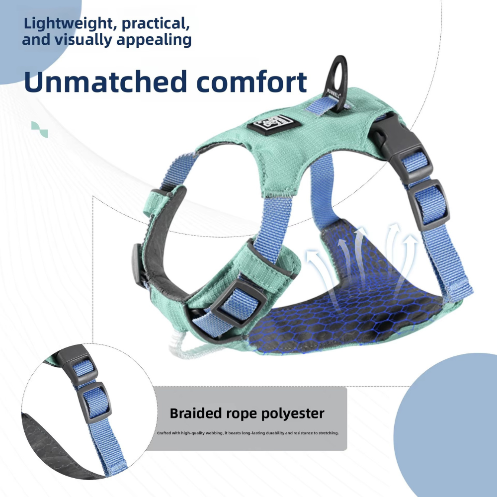 EasyWalk Paw Harness