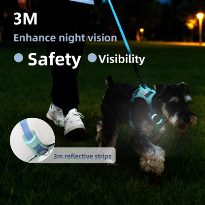EasyWalk Paw Harness