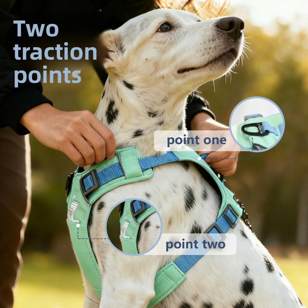 EasyWalk Paw Harness