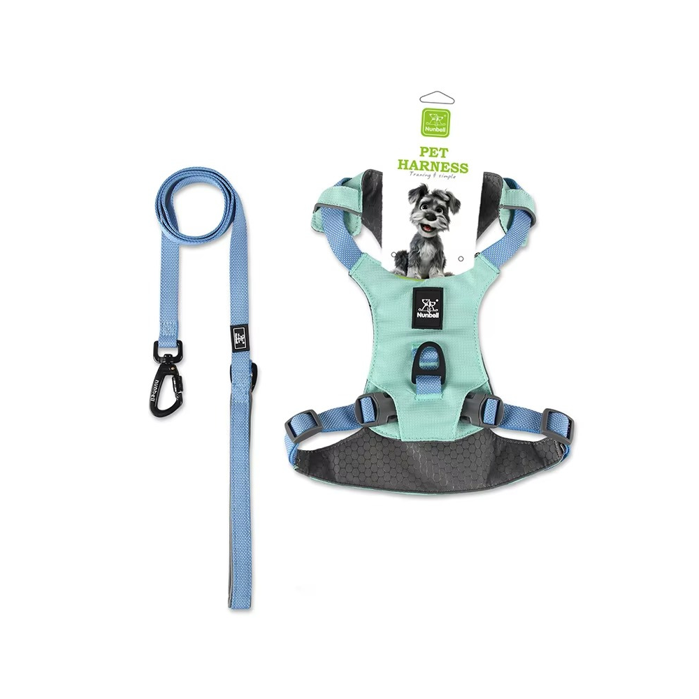 EasyWalk Paw Harness