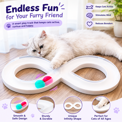 SpinPaws Cat Track Toy