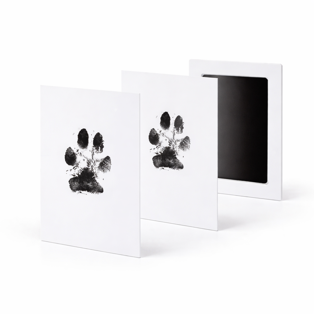 TinyPrint Memory Kit