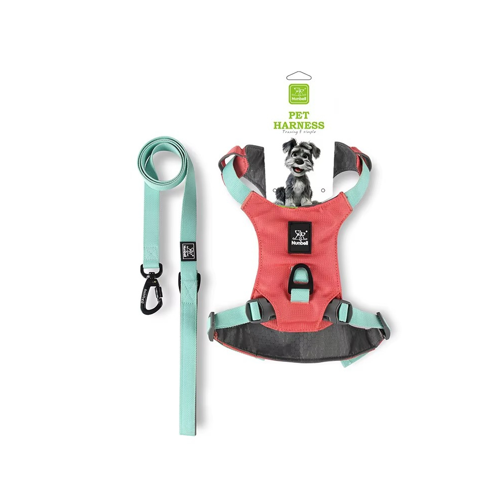 EasyWalk Paw Harness