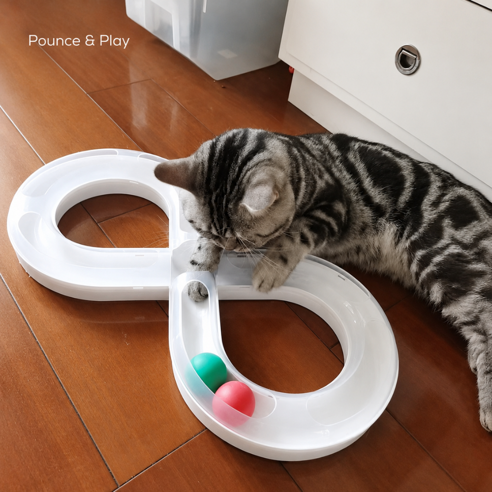 SpinPaws Cat Track Toy