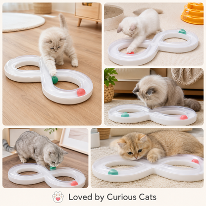 SpinPaws Cat Track Toy