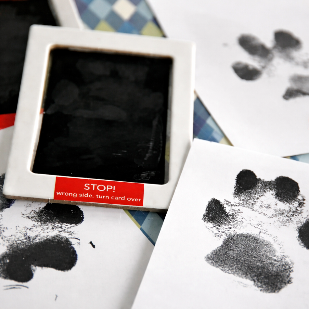TinyPrint Memory Kit