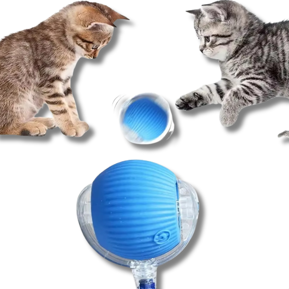 ChirpChase Cat Roller