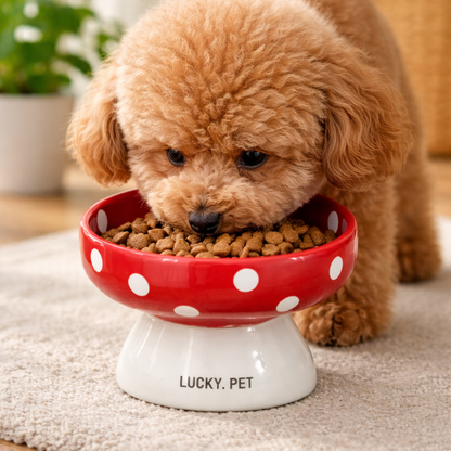 MushroomMunch Pet Bowl