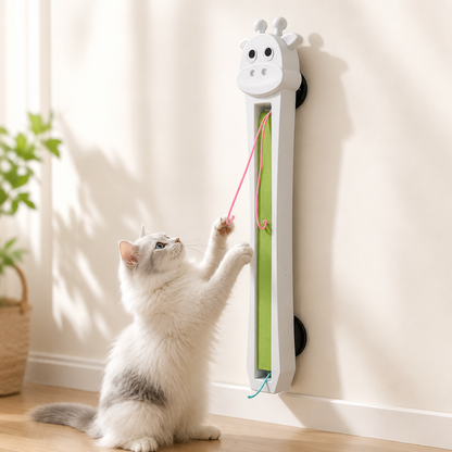 MeowMotion