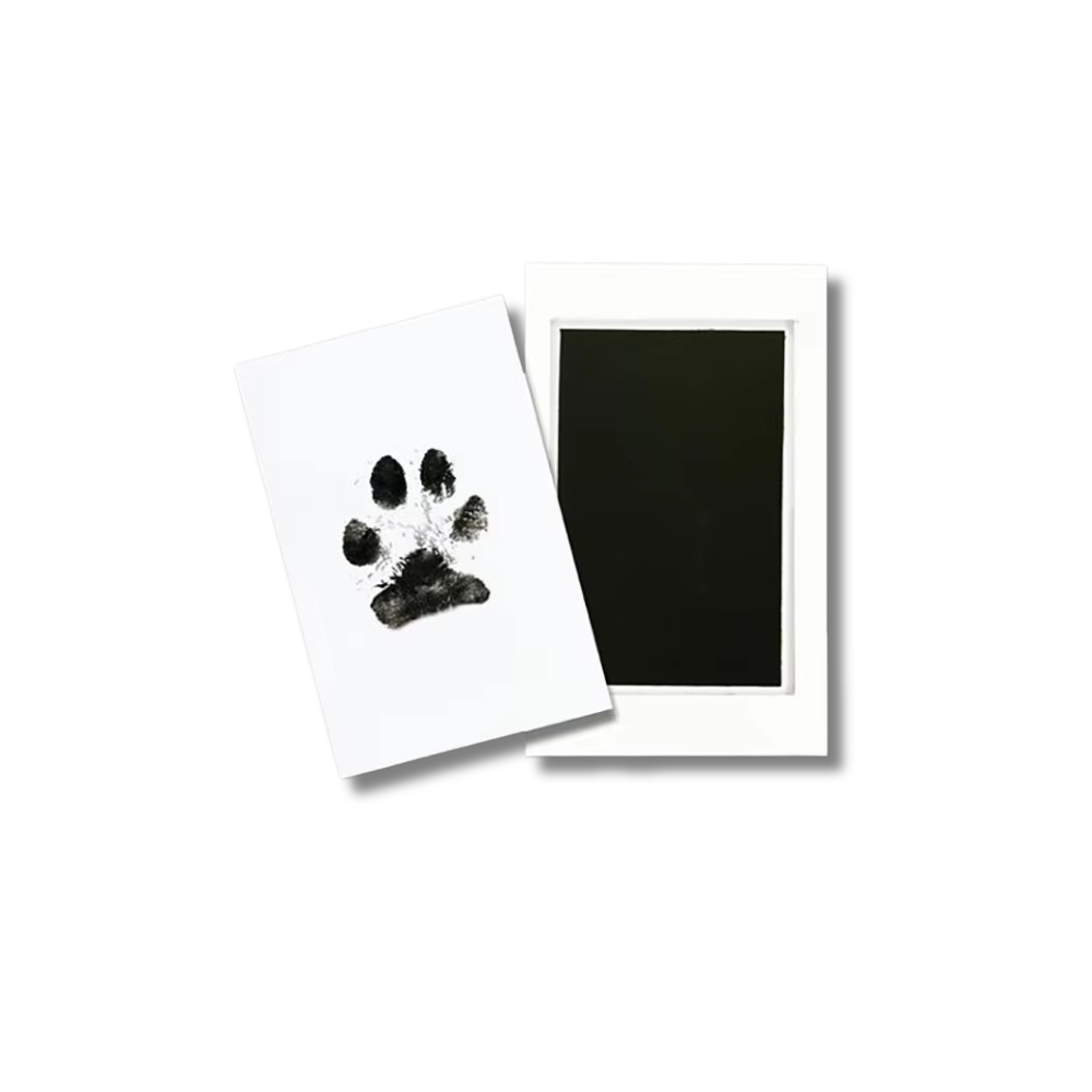TinyPrint Memory Kit