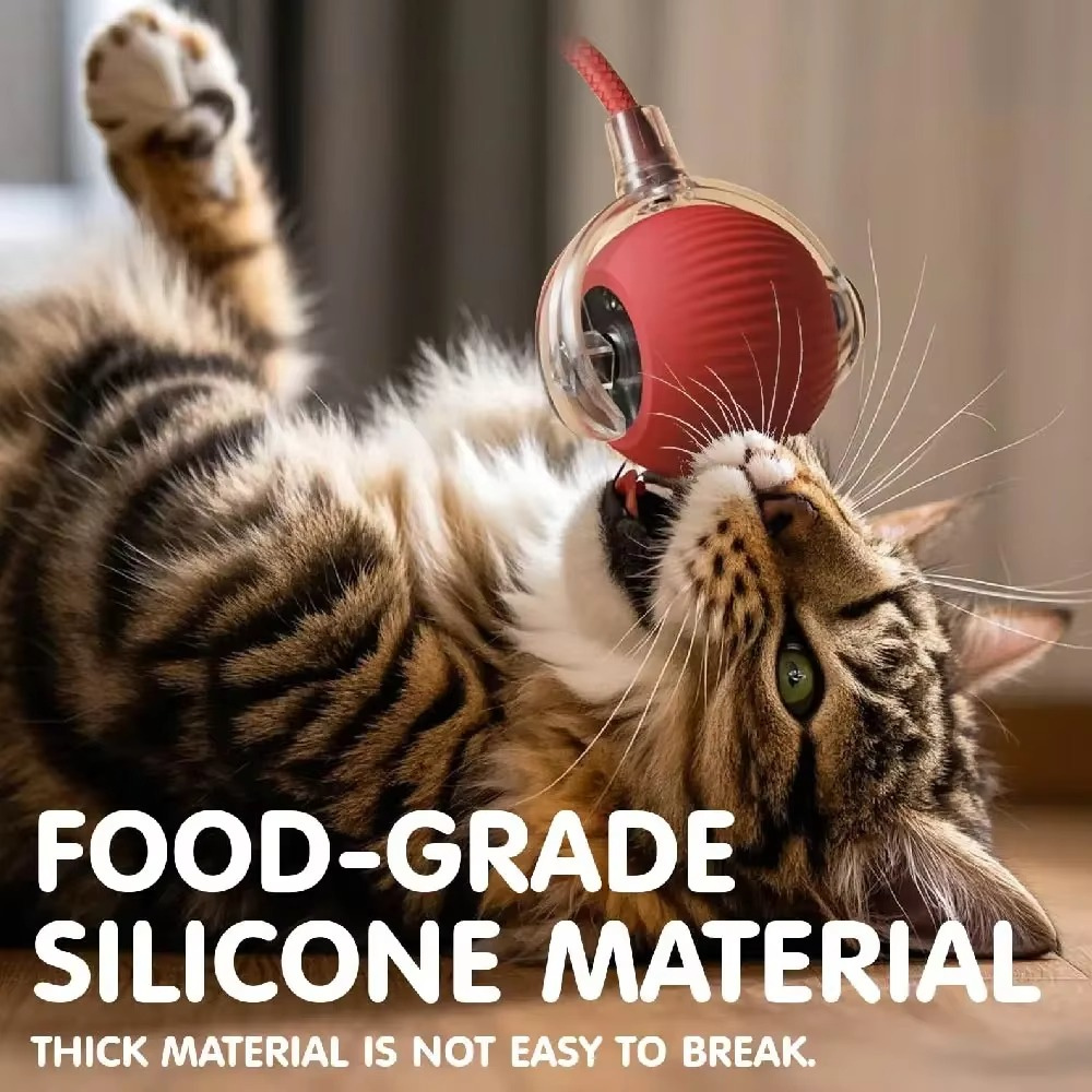 ChirpChase Cat Roller