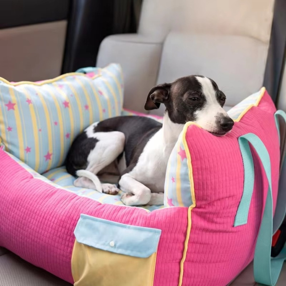 PawVoyage