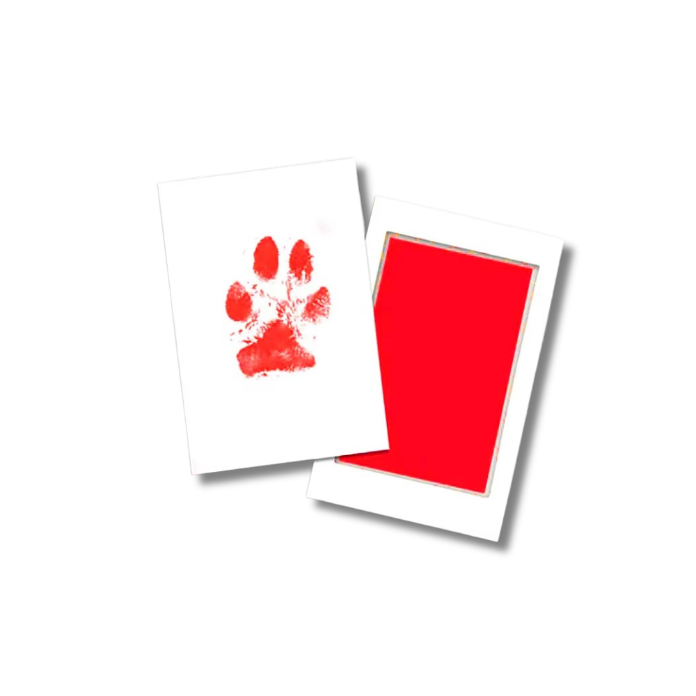 TinyPrint Memory Kit