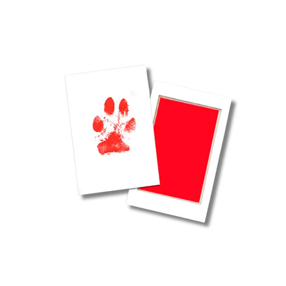 TinyPrint Memory Kit