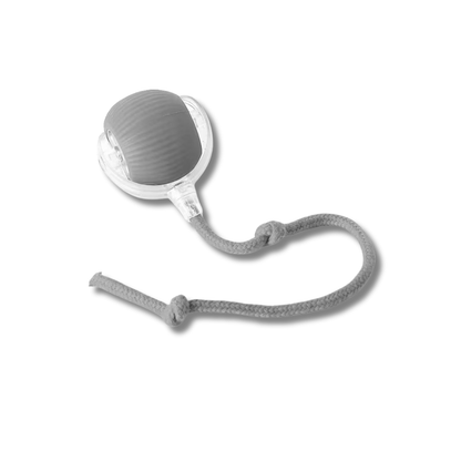 ChirpChase Cat Roller