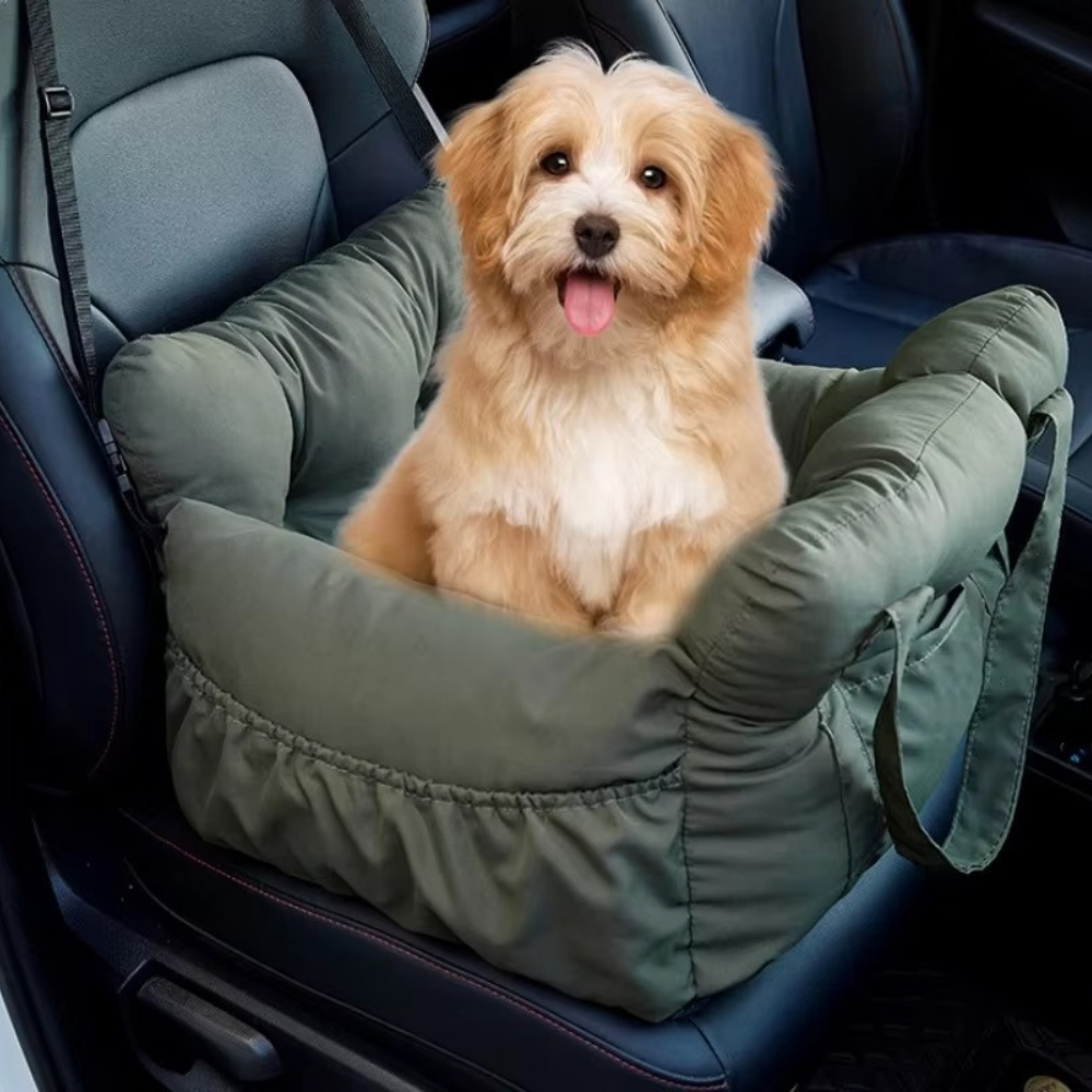 PawRide Booster Seat