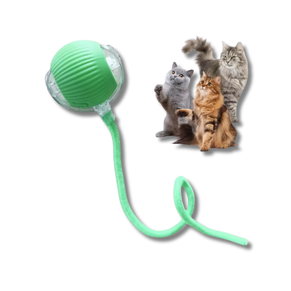 ChirpChase Cat Roller