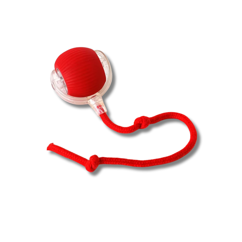 ChirpChase Cat Roller