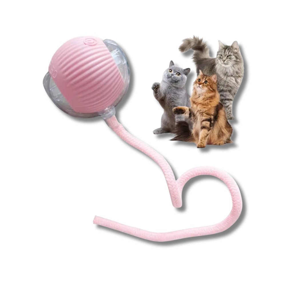 ChirpChase Cat Roller