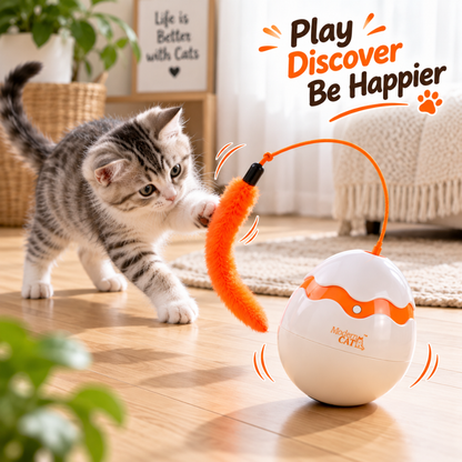 SpinChase Automatic Cat Teaser